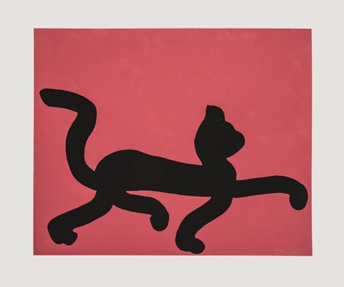 https://www.hugopernet.com/files/gimgs/th-153_HP_Marker_Cat_DSC7417_copieweb.jpg