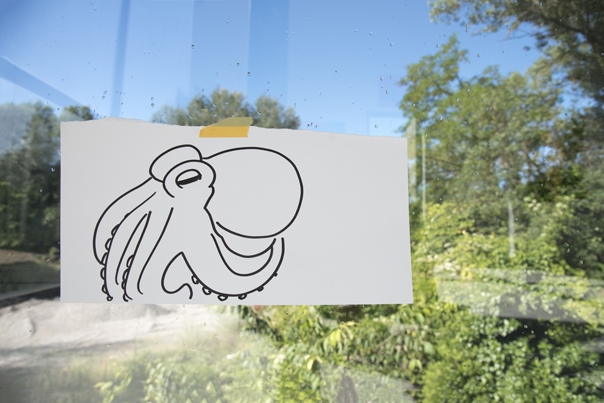 https://www.hugopernet.com/files/gimgs/th-153_HP_Poulkpe_fond_vert_DSC7430_copieweb.jpg